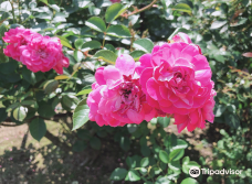 大神ファーム-日出町
