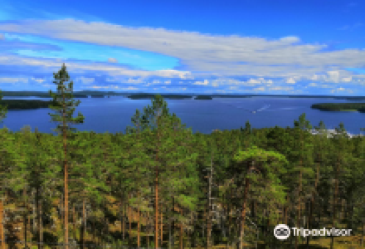 Padasjoen Tuomastornit景点图片