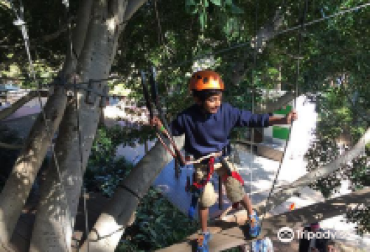 Urban Jungle Adventure Park景点图片