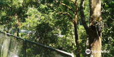Sungai Sedim Recreational Forest-居林