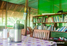 Van Stadens Wild Flower Reserve景点图片