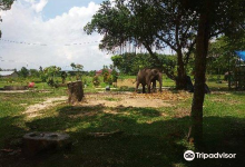 Kasang Kulim Zoo景点图片