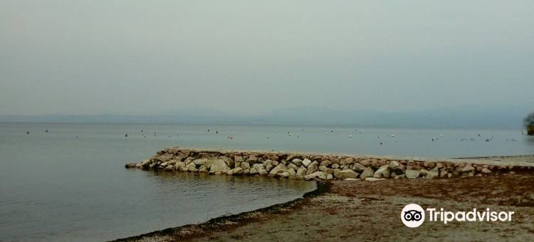 Campeggio Amici di Lazise图片