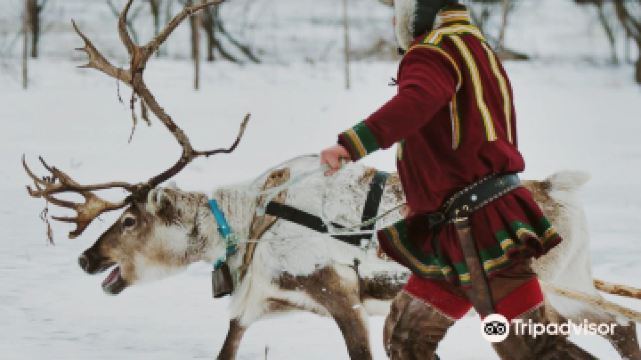 特罗姆瑟拉普兰雪橇之旅