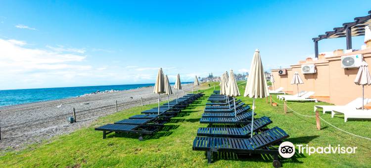 Hotel Guadalmina Spa and Golf Resort图片