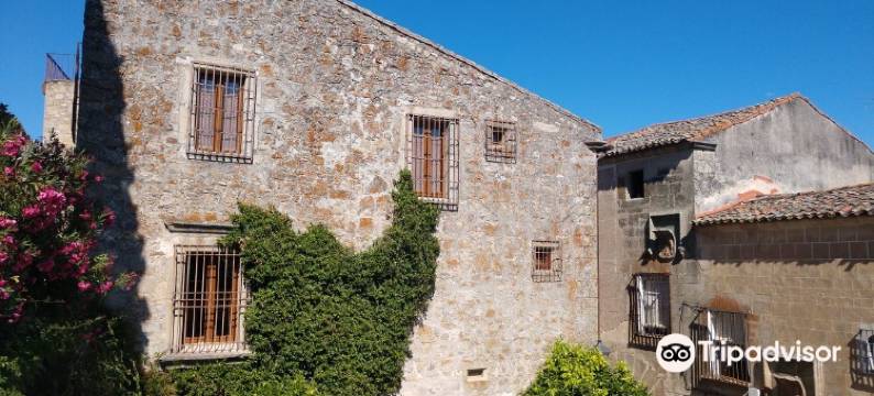 查韦斯宫酒店(Palacio Chaves Hotel)图片