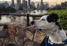 River Terrace景点图片