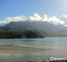 Hinchinbrook Island-巴西兰迪亚