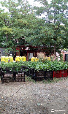 【携程攻略】柏林王子花园图片,柏林王子花园风景图片,王子花园景点