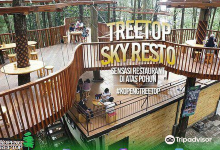 Kopeng Treetop Adventure Park景点图片