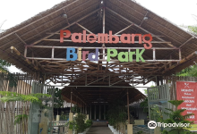 Palembang Bird Park景点图片