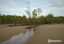 Pantai Tanjung Piai景点图片