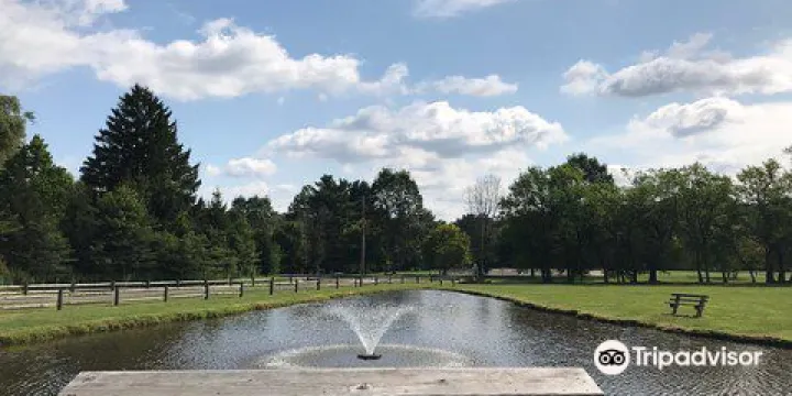 Forest Ridge Preserve