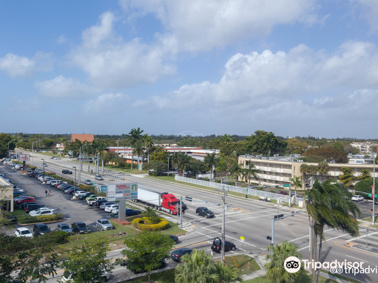 迈阿密戴德兰雅乐轩酒店