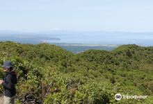 Tauhara山景点图片