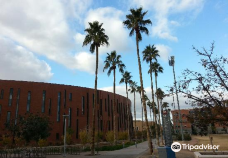 Arizona State University-坦佩