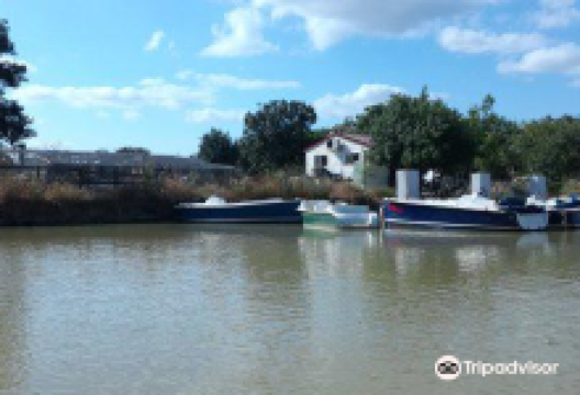 Domaine de Sainte Marthe景点图片