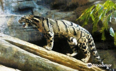 Sipahijala Wildlife Sanctuary-Sipahijala