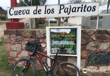 Cueva de Los Pajaritos-普尼利亚县