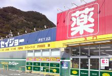 Seijo（伊豆下田店）购物图片