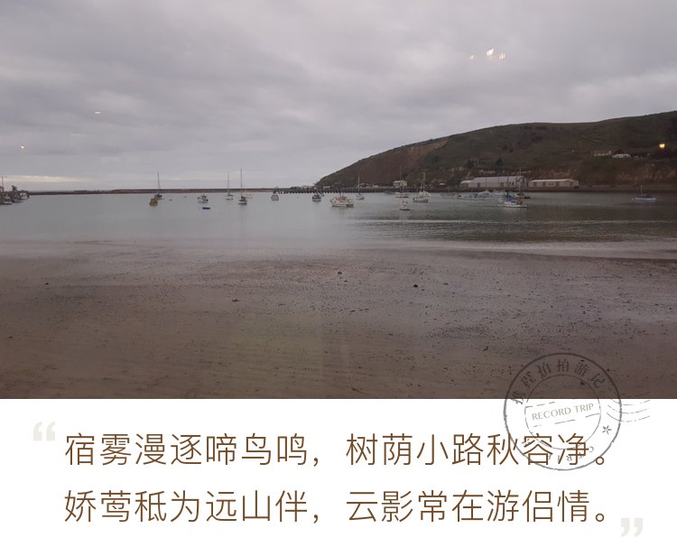 奥马鲁，摩拉基和达尼丁