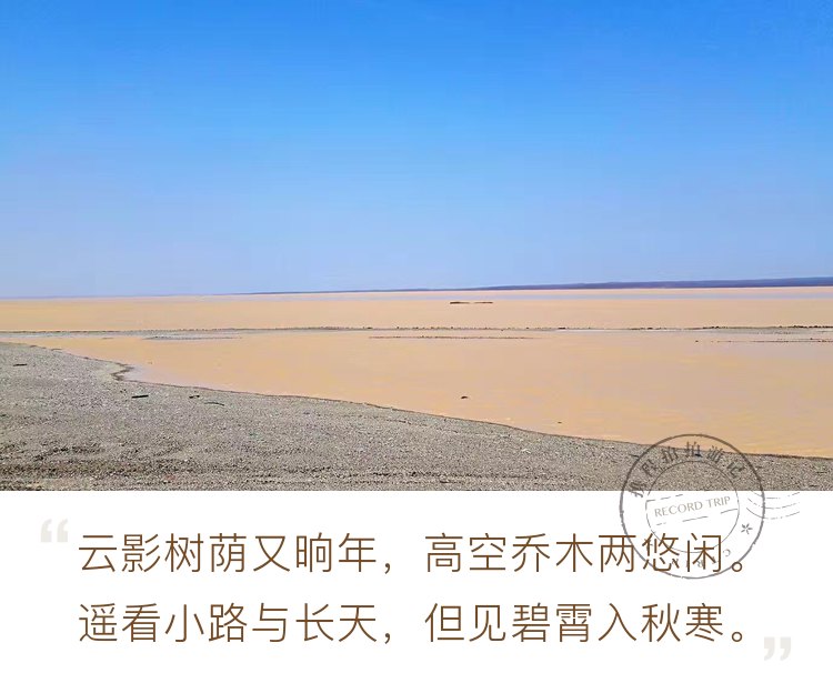 沙漠里的水🏜️