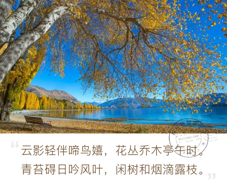 世界这么大，却偏爱新西兰