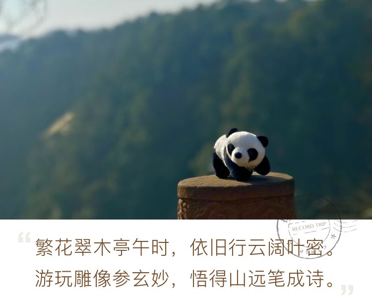 游熊猫故乡，美丽的雅安碧峰峡