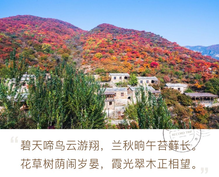 京郊赏枫就在坡峰岭，入住云上石屋享受亲子慢生活