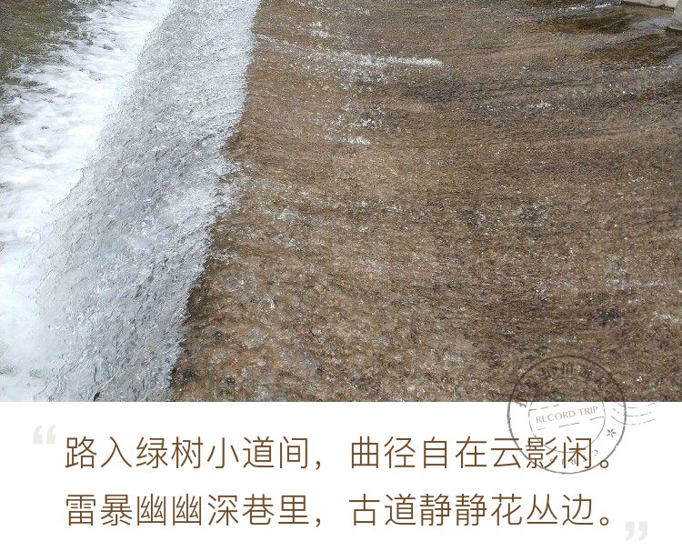 湖南绥宁黄桑莳竹河一景观坝，流水倾泻，银光粼粼！