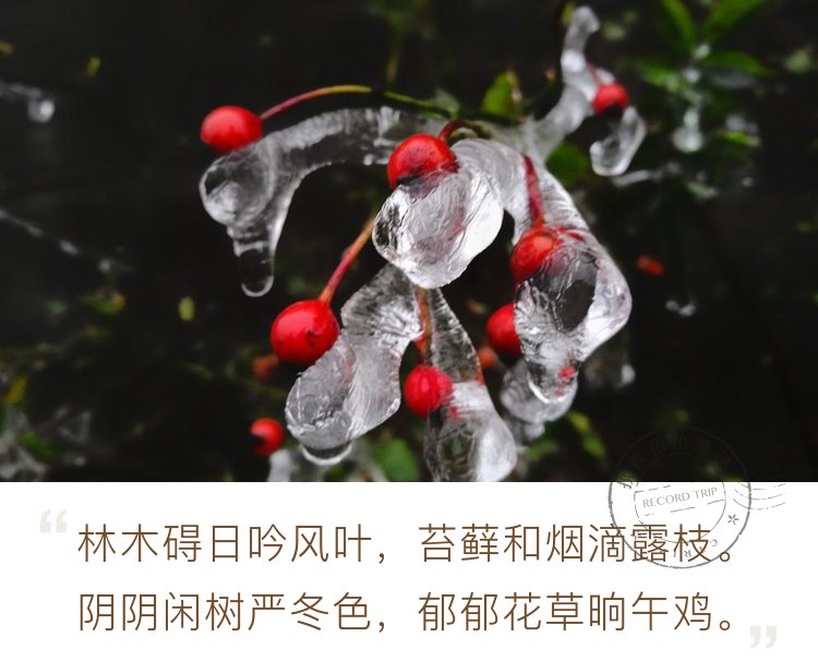 南昌丨小寒时，梅岭山顶已挂满了冰挂