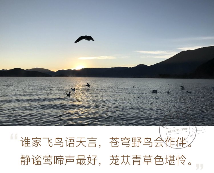 泸沽湖的日出，很有意境。