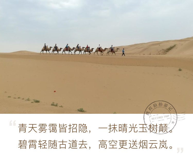 內蒙古沙漠風情