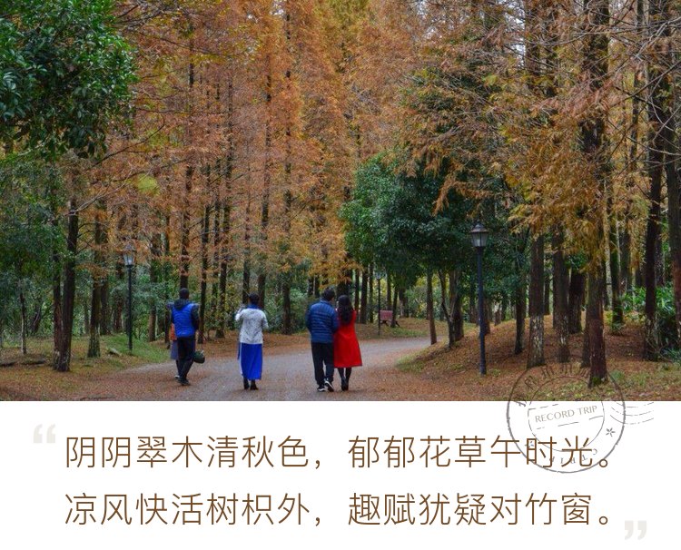 南昌丨梅岭之秋，仿佛梦里的童话