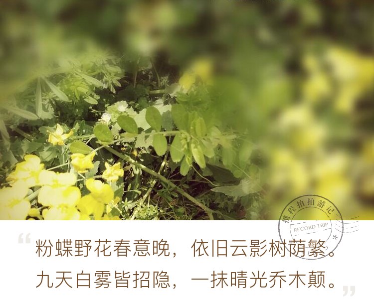 不负春光不负你－樱花季游走杭州良渚文化艺术中心