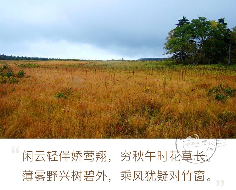 中国最有高度的湿地 —— 凤凰山高山湿地