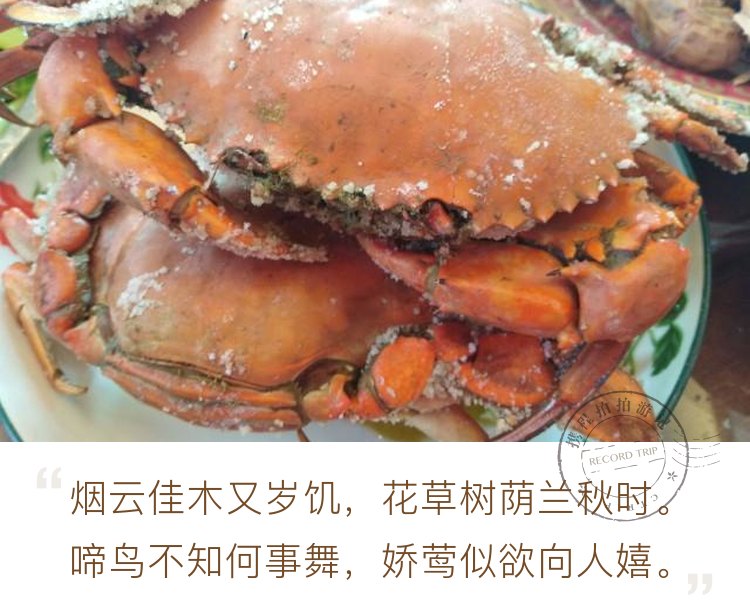 到惠东盐州岛旅游偶遇特色美食-----盐焗蟹😋