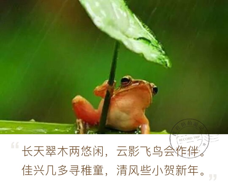 雨水季