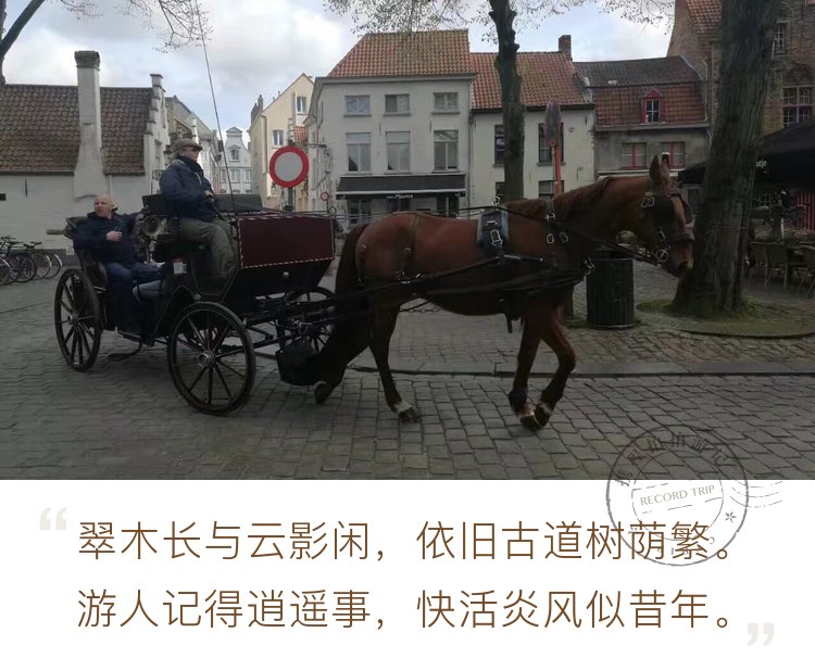 比利时🇧🇪