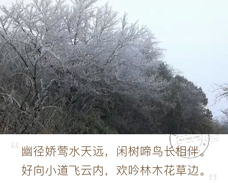新邵龙山雪景