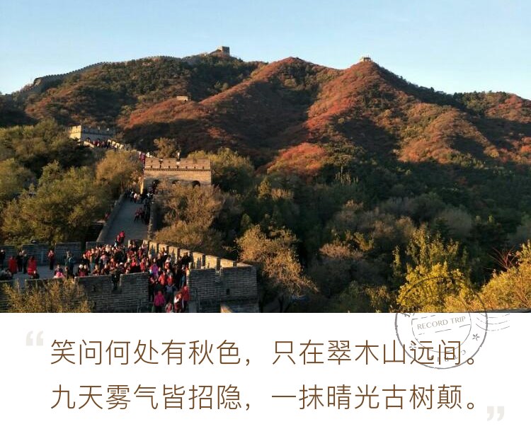在这金秋时节登上了北京八达岭长城，实现了一直以来想登长城的，