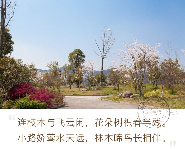 湘湖之春  杭州西湖的姐妹湖 带着孩子带上父母一起看花