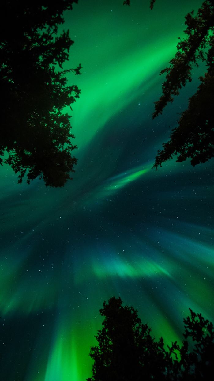 Alaska Northern Lights: Fairbanks