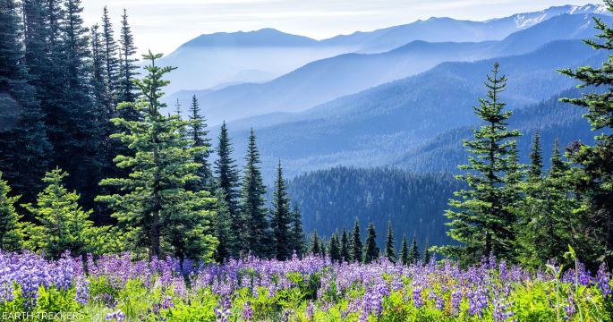 Seattle City Break – 3 Days